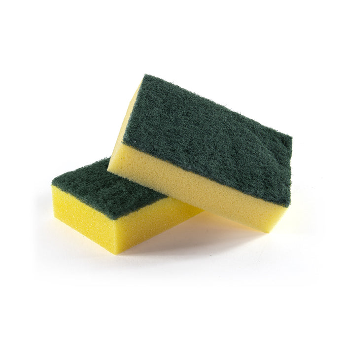 Sponge scourer